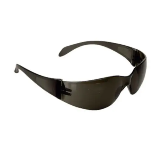 [452022002] Climax Veiligheidsbril 590-G | Donker