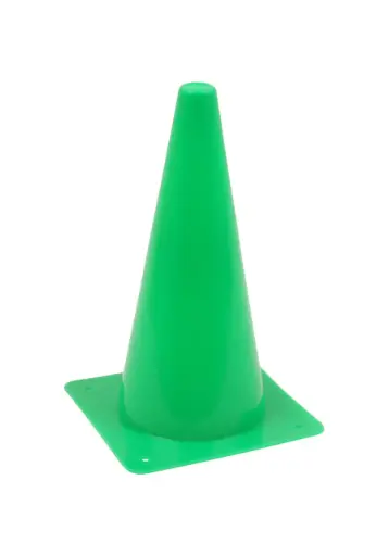 [551022061] Pion Groen | 31 cm | Kunststof