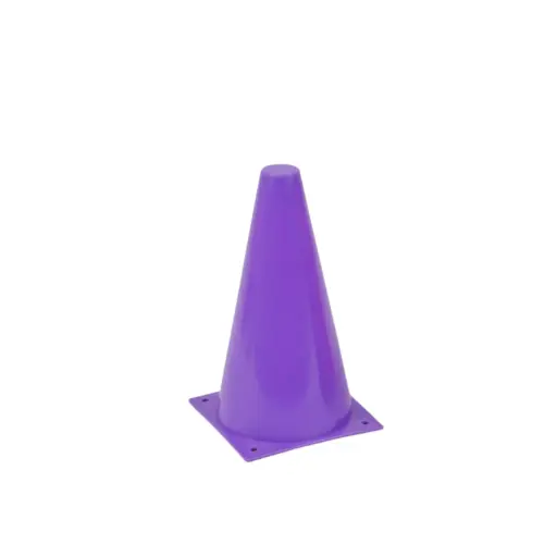 [551022079] Pion Paars | 23 cm | Kunststof